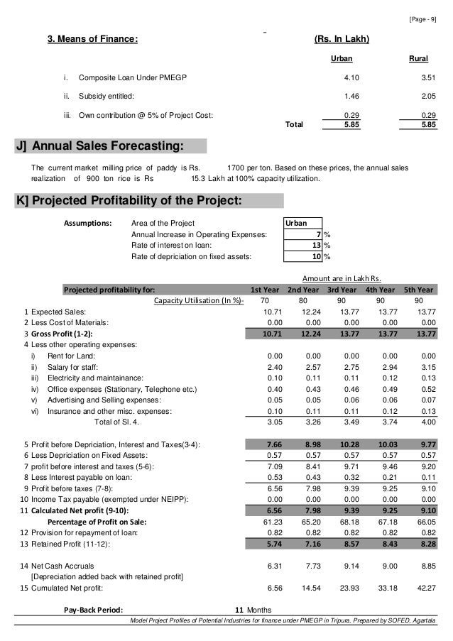project report for bank loan pdf