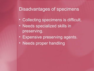 Disadvantages of specimens Collecting specimens is difficult. Needs specialized skills in preserving. Expensive preserving agents. Needs proper handling 