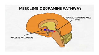 Animal models of drug relapse & craving | PPTX