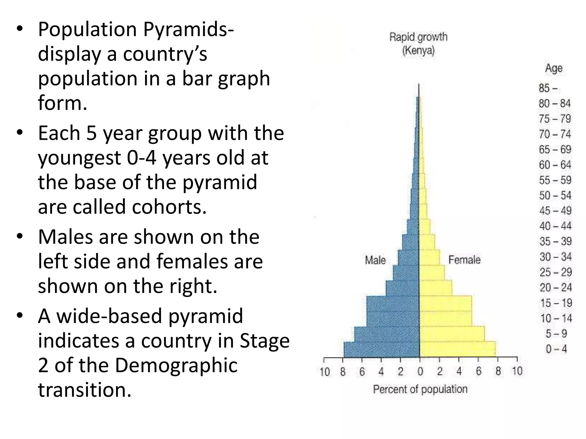 • Population Pyramids-
display a country’s
population in a bar graph
form.
• Each 5 year group with the
youngest 0-4 years old at
the base of the pyramid
are called cohorts.
• Males are shown on the
left side and females are
shown on the right.
• A wide-based pyramid
indicates a country in Stage
2 of the Demographic
transition.
 