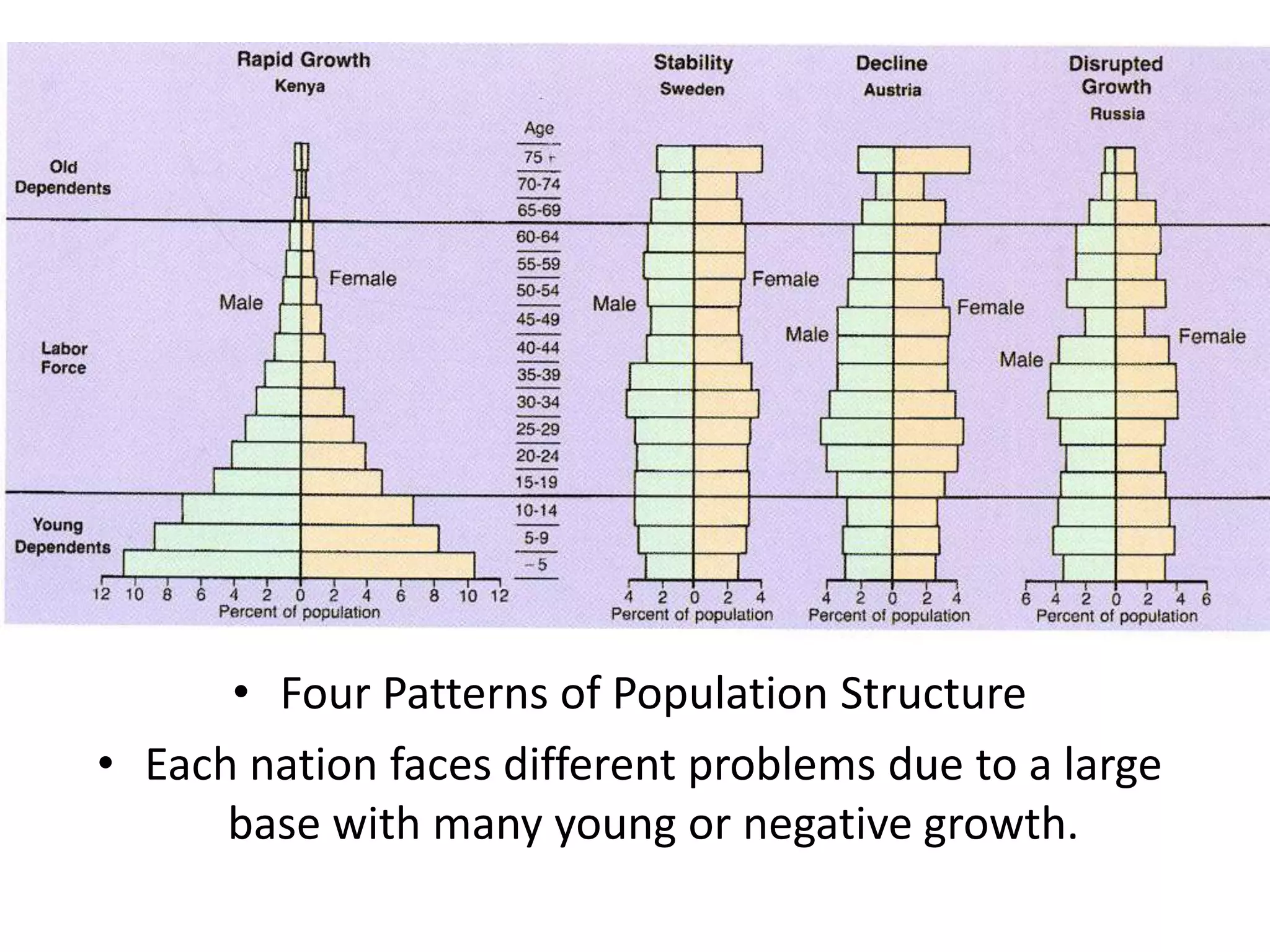• Four Patterns of Population Structure
• Each nation faces different problems due to a large
base with many young or negative growth.
 