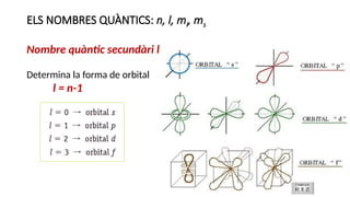 ELS NOMBRES QUÀNTICS: n, l, ml, ms
Nombre quàntic secundàri l
Determina la forma de orbital
l = n-1
 
