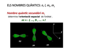 ELS NOMBRES QUÀNTICS: n, l, ml, ms
Nombre quàntic secundàri ml
 