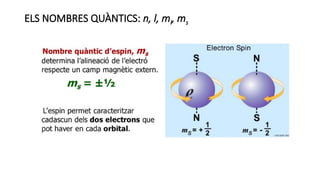 ELS NOMBRES QUÀNTICS: n, l, ml, ms
 