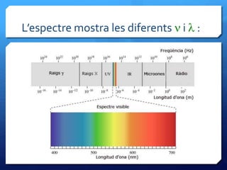 L’espectre mostra les diferents n i l :
 