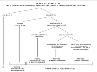 MODELS D’EDUCACIÓ
PLURILINGÜE
 