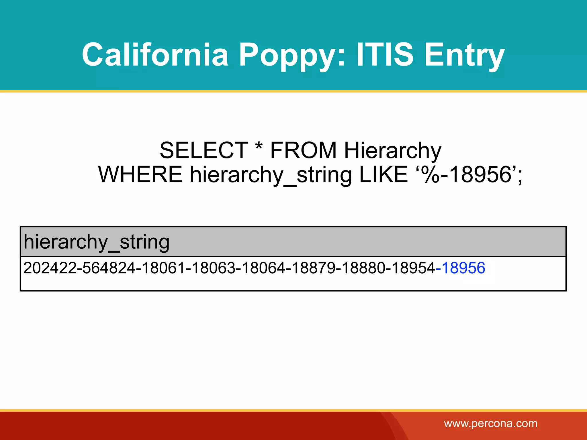 California Poppy: ITIS Entry

           SELECT * FROM Hierarchy
        WHERE hierarchy_string LIKE ‘%-18956’;

hierarchy_string
202422-564824-18061-18063-18064-18879-18880-18954-18956




                                                  www.percona.com
 