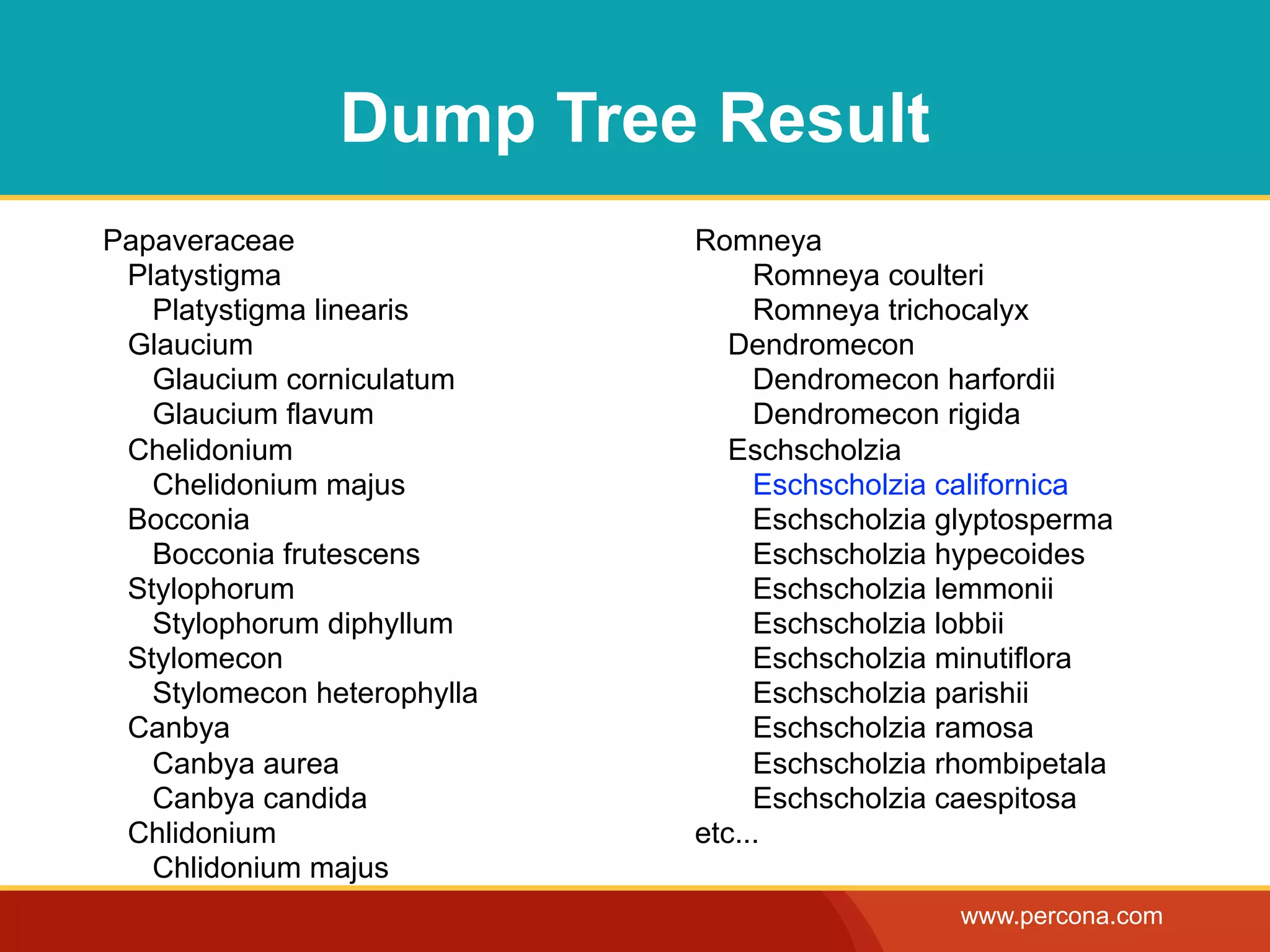 Dump Tree Result
Papaveraceae                 Romneya
 Platystigma                      Romneya coulteri
   Platystigma linearis           Romneya trichocalyx
 Glaucium                       Dendromecon
   Glaucium corniculatum          Dendromecon harfordii
   Glaucium flavum                Dendromecon rigida
 Chelidonium                    Eschscholzia
   Chelidonium majus              Eschscholzia californica
 Bocconia                         Eschscholzia glyptosperma
   Bocconia frutescens            Eschscholzia hypecoides
 Stylophorum                      Eschscholzia lemmonii
   Stylophorum diphyllum          Eschscholzia lobbii
 Stylomecon                       Eschscholzia minutiflora
   Stylomecon heterophylla        Eschscholzia parishii
 Canbya                           Eschscholzia ramosa
   Canbya aurea                   Eschscholzia rhombipetala
   Canbya candida                 Eschscholzia caespitosa
 Chlidonium                  etc...
   Chlidonium majus
                                                www.percona.com
 
