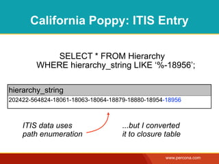 California Poppy: ITIS Entry

           SELECT * FROM Hierarchy
        WHERE hierarchy_string LIKE ‘%-18956’;

hierarchy_string
202422-564824-18061-18063-18064-18879-18880-18954-18956



    ITIS data uses                  ...but I converted
    path enumeration                it to closure table

                                                  www.percona.com
 