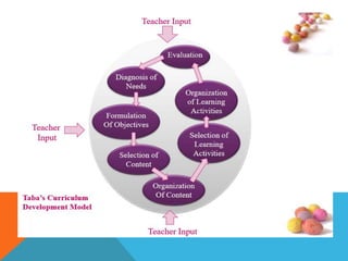 Models of curriculum development