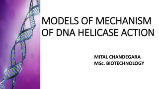 MODELS OF MECHANISM
OF DNA HELICASE ACTION
MITAL CHANDEGARA
MSc. BIOTECHNOLOGY
 