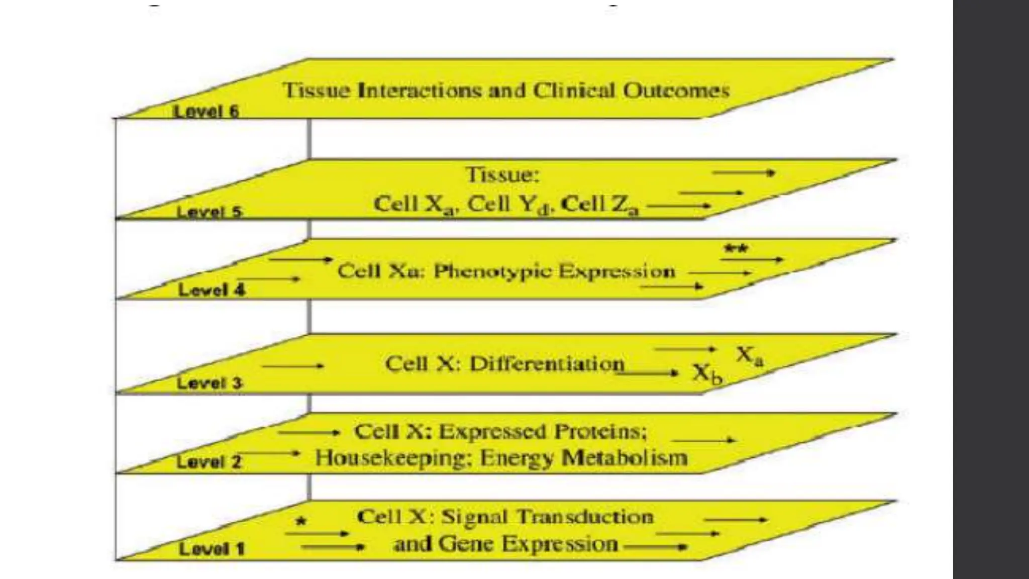 MODELS OF PATHOGENESIS IN PERIODONTITIS (1).pptx