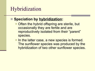 Hybridization Speciation by  hybridization :   Often the hybrid offspring are sterile, but occasionally they are fertile and are reproductively isolated from their “parent” species.  In the latter case, a new species is formed.  The sunflower species was produced by the hybridization of two other sunflower species. 