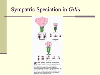 Sympatric Speciation in  Gilia 