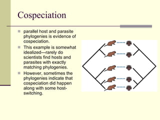 Cospeciation parallel host and parasite phylogenies is evidence of cospeciation. This example is somewhat idealized—rarely do scientists find hosts and parasites with exactly matching phylogenies.  However, sometimes the phylogenies indicate that cospeciation did happen along with some host-switching. 