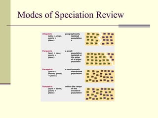 Modes of Speciation Review                                              within the range of the ancestral population                                Sympatric   (sym = same, patric = place)                                                                             a continuously distributed population                                Parapatric   (para = beside, patric = place)                                                                             a small population isolated at the edge of a larger populatin                                Peripatric   (peri = near, patric = place)                                                                             geographically isolated populations                                Allopatric   (allo = other, patric = place)                                