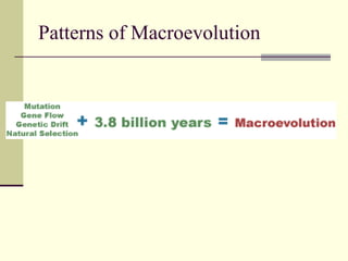 Patterns of Macroevolution 