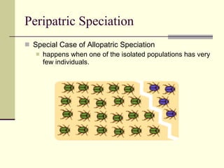 Peripatric Speciation Special Case of Allopatric Speciation happens when one of the isolated populations has very few individuals.  