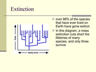 Extinction over 99% of the species that have ever lived on Earth have gone extinct.  In this diagram, a mass extinction cuts short the lifetimes of many species, and only three survive  