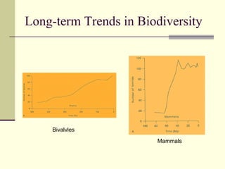 Long-term Trends in Biodiversity Bivalvles Mammals 