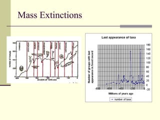 Mass Extinctions 