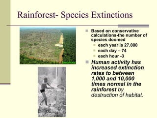 Rainforest- Species Extinctions Based on conservative calculations-the number of species doomed  each year is 27,000 each day – 74 each hour -3  Human activity has increased extinction rates to between 1,000 and 10,000 times normal in the rainforest  by destruction of habitat.   