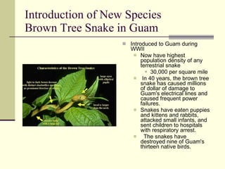Introduction of New Species Brown Tree Snake in Guam Introduced to Guam during WWII Now have highest population density of any terrestrial snake 30,000 per square mile In 40 years, the brown tree snake has caused millions of dollar of damage to Guam's electrical lines and caused frequent power failures.  Snakes have eaten puppies and kittens and rabbits, attacked small infants, and sent children to hospitals with respiratory arrest.     The snakes have destroyed nine of Guam's thirteen native birds.  