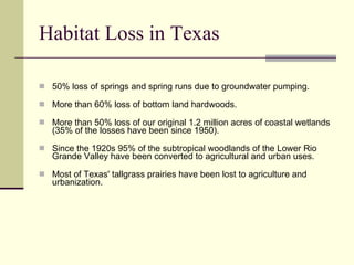 Habitat Loss in Texas 50% loss of springs and spring runs due to groundwater pumping. More than 60% loss of bottom land hardwoods.  More than 50% loss of our original 1.2 million acres of coastal wetlands (35% of the losses have been since 1950). Since the 1920s 95% of the subtropical woodlands of the Lower Rio Grande Valley have been converted to agricultural and urban uses. Most of Texas' tallgrass prairies have been lost to agriculture and urbanization. 