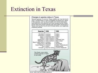 Extinction in Texas 