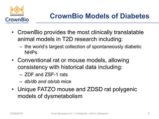 Zsf Rats Clinically Relevant In Vivo Models for Type 2 Diabetes Research | PPTX
