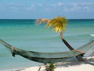 TodoService 
Serialize & Send, 
Sucka! 
PrintingService 
 