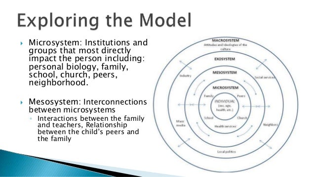 Models of Addiction and Co-Occurring Disorder Development