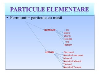 <ul><li>Fermionii =  particule cu masă </li></ul>QUARCURI   Up Down Ch arm Strange Up Bottom  LEPTONI   Electronul Neutrin...