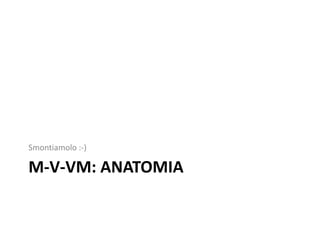 Smontiamolo :-)

M-V-VM: ANATOMIA
 
