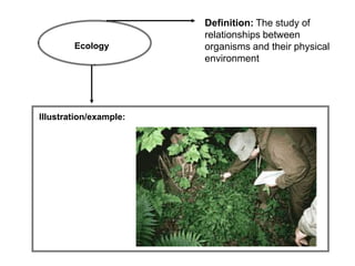 Definition: The study of
                        relationships between
        Ecology         organisms and their physical
                        environment




Illustration/example:
 