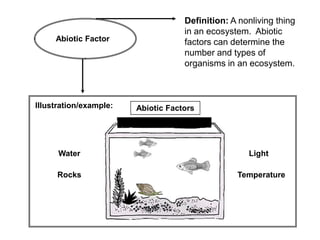Definition: A nonliving thing
                                    in an ecosystem. Abiotic
     Abiotic Factor                 factors can determine the
                                    number and types of
                                    organisms in an ecosystem.



Illustration/example:   Abiotic Factors




      Water                                         Light

     Rocks                                       Temperature
 