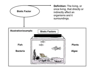 Definition: The living, or
                                    once living, that directly or
      Biotic Factor                 indirectly affect an
                                    organisms and it
                                    surroundings.



Illustration/example:   Biotic Factors




      Fish                                           Plants

    Bacteria                                         Algae
 