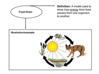 Definition: A model used to
                        show how energy from food
      Food Chain        passes from one organism
                        to another.




Illustration/example:
 