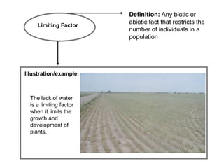 Definition: Any biotic or
                         abiotic fact that restricts the
     Limiting Factor
                         number of individuals in a
                         population




Illustration/example:



  The lack of water
  is a limiting factor
  when it limits the
  growth and
  development of
  plants.
 