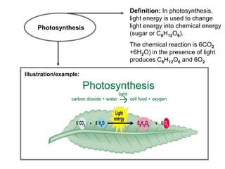 Definition: In photosynthesis,
                        light energy is used to change
    Photosynthesis      light energy into chemical energy
                        (sugar or C6H12O6).
                        The chemical reaction is 6CO2
                        +6H2O) in the presence of light
                        produces C6H12O6 and 6O2

Illustration/example:
 