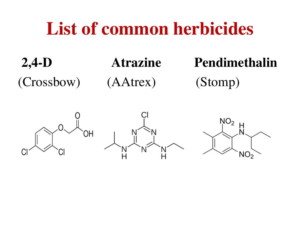 Mode of action of herbicides