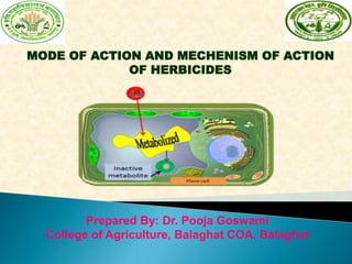 MODE OF ACTION AND MECHENISM OF ACTION
OF HERBICIDES
Prepared By: Dr. Pooja Goswami
College of Agriculture, Balaghat COA, Balaghat
 