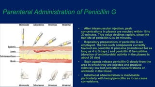 Mode of action of penicillin | PPTX