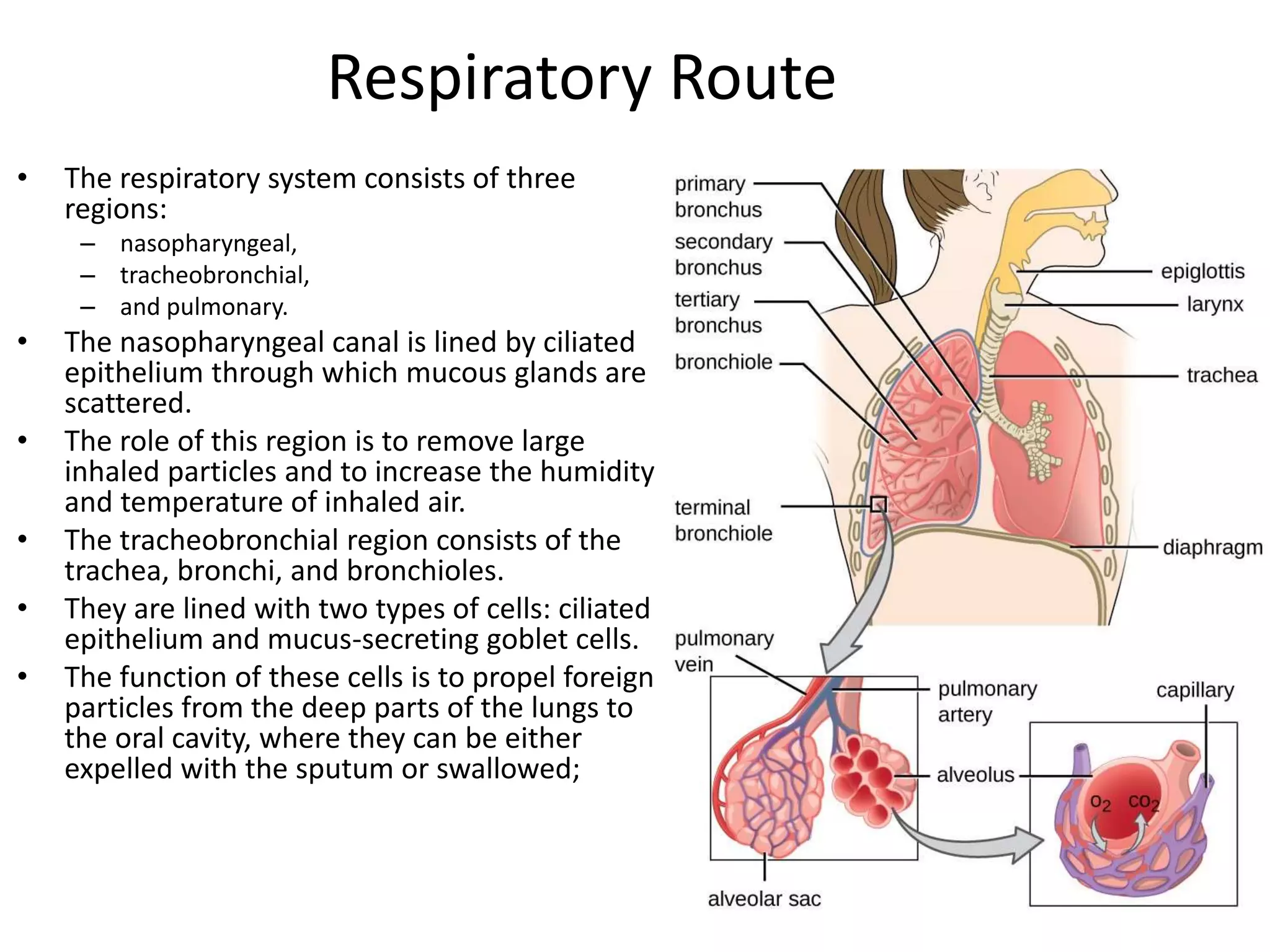Mode of entry of toxins | PPTX