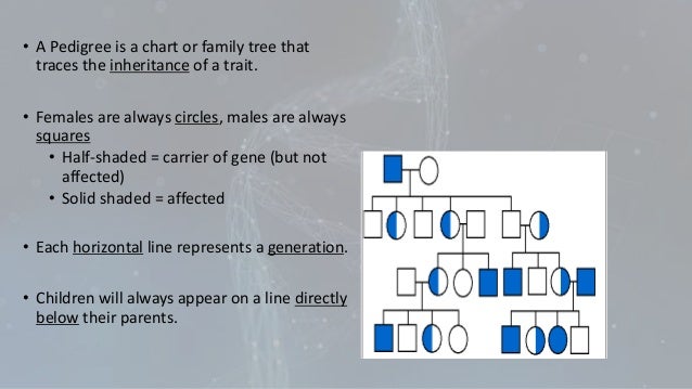mode of inheritence 2016 10 generation pedigree chart
