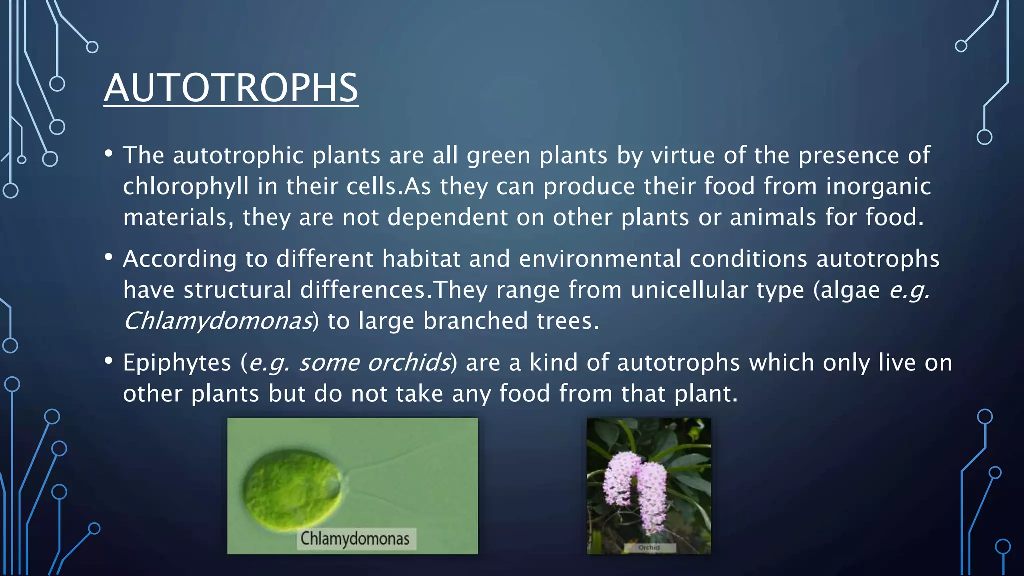 Mode of Nutrition in Plants | PPTX