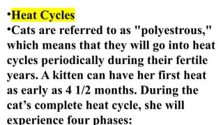 Polyesterous Science 5 -Mode of Reproduction in Cats, .pptx