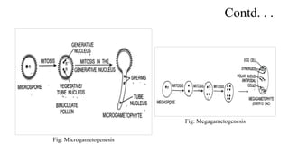 Mode of reproduction in crop plants. | PPTX