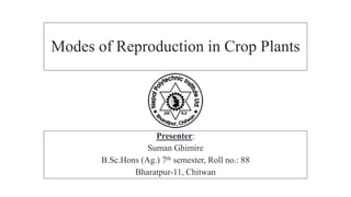 Modes of Reproduction in Crop Plants
Presenter:
Suman Ghimire
B.Sc.Hons (Ag.) 7th semester, Roll no.: 88
Bharatpur-11, Chitwan
 