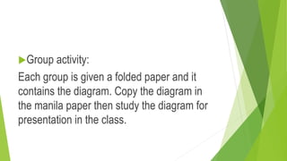 Group activity:
Each group is given a folded paper and it
contains the diagram. Copy the diagram in
the manila paper then study the diagram for
presentation in the class.
 